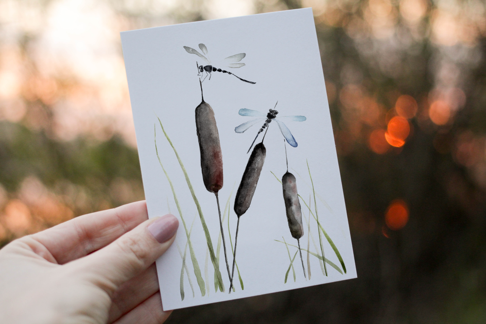 Dragonfly Birthday Card, Bull Rushes Birthday Card - Click Image to Close